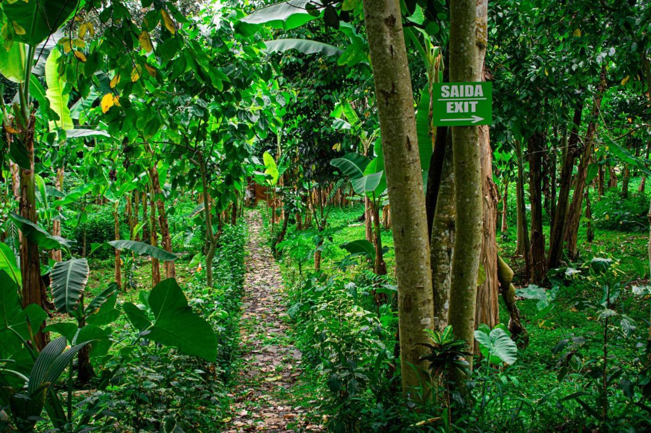 Eco-Por Villa Rio do Ouro Eksteriør bilde