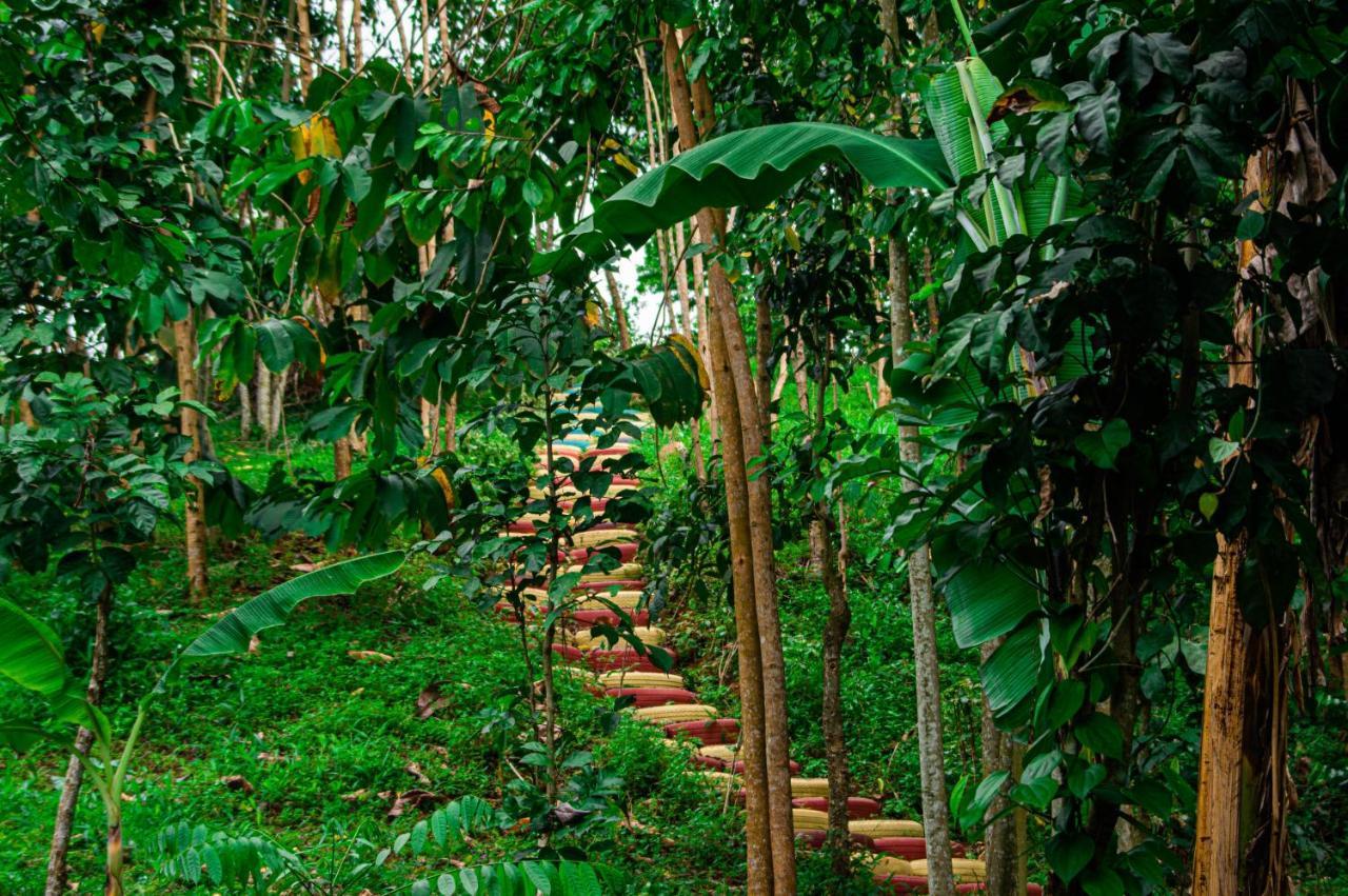 Eco-Por Villa Rio do Ouro Eksteriør bilde